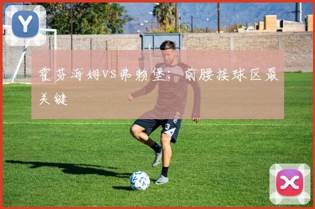 霍芬海姆vs弗赖堡:前腰接球区最关键