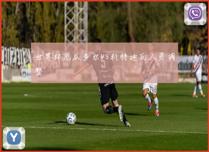 世界杯厄瓜多尔vs科特迪瓦人员调整